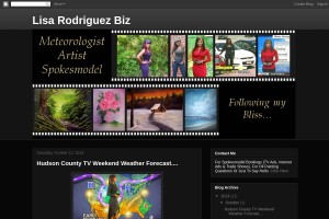 Screenshot of Lisa Rodriguez Biz