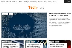 Screenshot of TechFruit