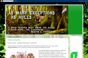 Screenshot of As Many Exceptions As Rules