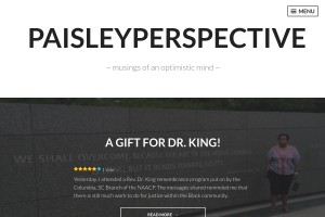 Screenshot of PaisleyPerspective