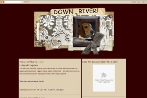 Screenshot of Down River!