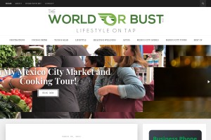 Screenshot of The World or Bust