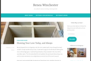 Screenshot of WordPress.com