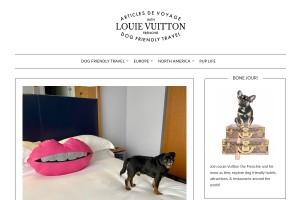 Screenshot of Dog Friendly Travel