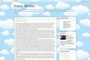 Screenshot of Funny Mellon