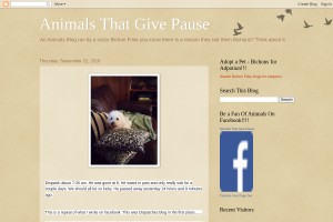 Screenshot of Animals That Give Pause