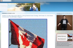 Screenshot of Facing Autism in New Brunswick