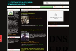 Screenshot of Egedy News