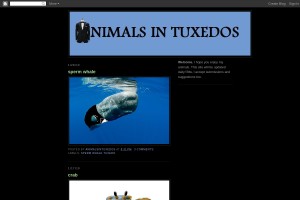 Screenshot of Animals in Tuxedos