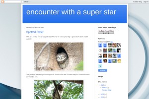 Screenshot of encounter with a super star