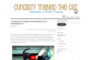 Screenshot of Curiosity Trained the Cat
