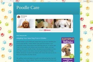 Screenshot of Poodle Care