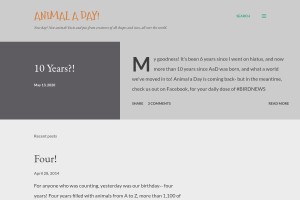 Screenshot of Animal A Day!