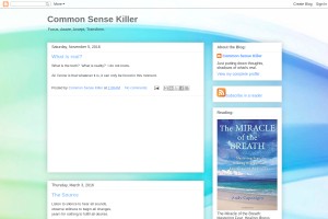 Screenshot of Common Sense Killer