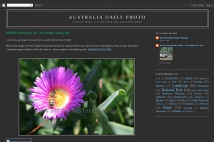Screenshot of Australia Daily Photo