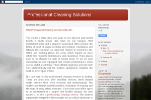 Screenshot of Professional Cleaning Solutions