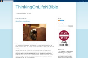 Screenshot of ThinkingOnLifeNBible