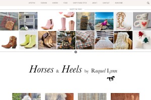 Screenshot of Horses & Heels