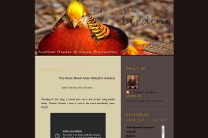 Screenshot of Dreambirding - Another Realm of Avian Encounters