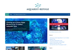 Screenshot of Saltwater Aquariums | Reviews, Tips, Guides & Deals